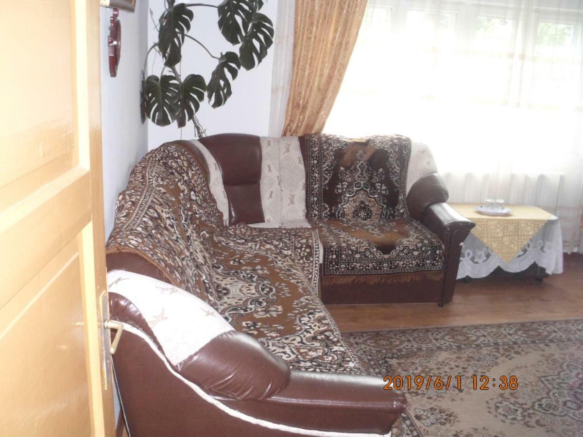 Vila Mihaela 브레아자 외부 사진